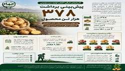  آذربایجان شرقی؛ قطب تولید سیب‌زمینی / پیش‌بینی برداشت ۳۷۸ هزار تن محصول